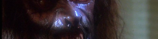 thehowlingreborn 2010 HORROR MOVIE PREVIEW: VARIOUS OTHER STUDIOS